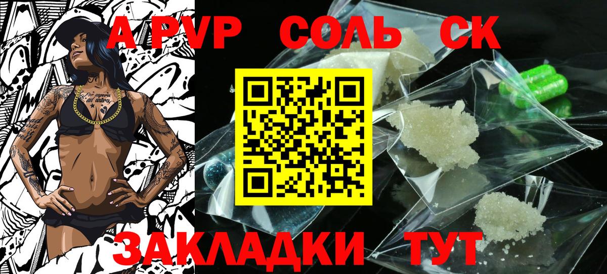 A PVP СК КРИС Саров