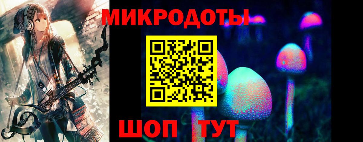 даркнет сайт  Вход с VPN  Саров  Псилоцибиновые грибы Magic Shrooms  Псилоцибиновые грибы Psilocybe 