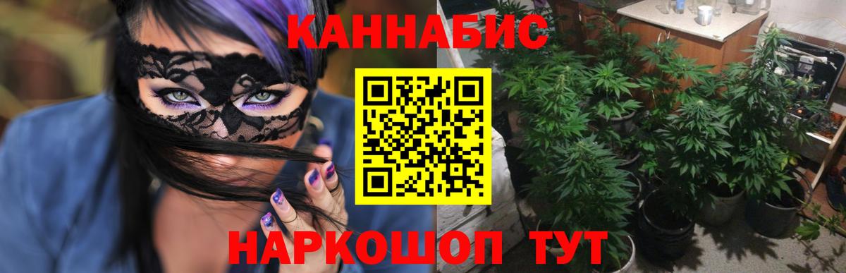 Бошки марихуана план  Шишки марихуана Bruce Banner  Конопля сатива  Вход с VPN  Саров 